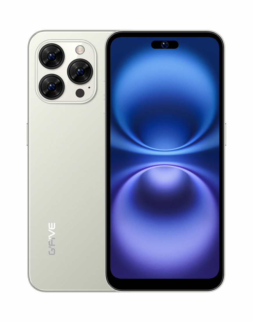 NOTE 25 – G'Five Mobile